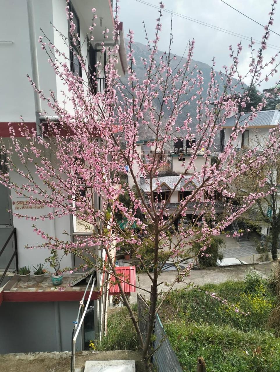Aman Inn Dharamshala Dış mekan fotoğraf